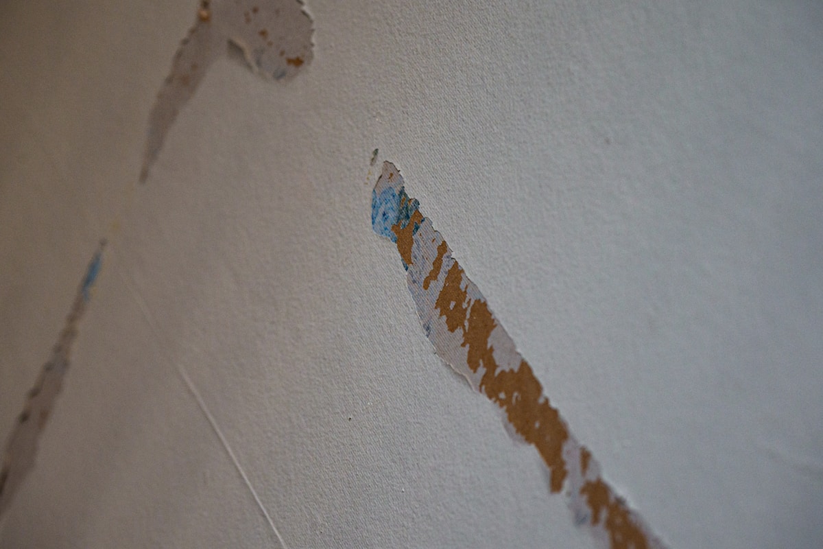 Water Extraction service in Bloomington, IL